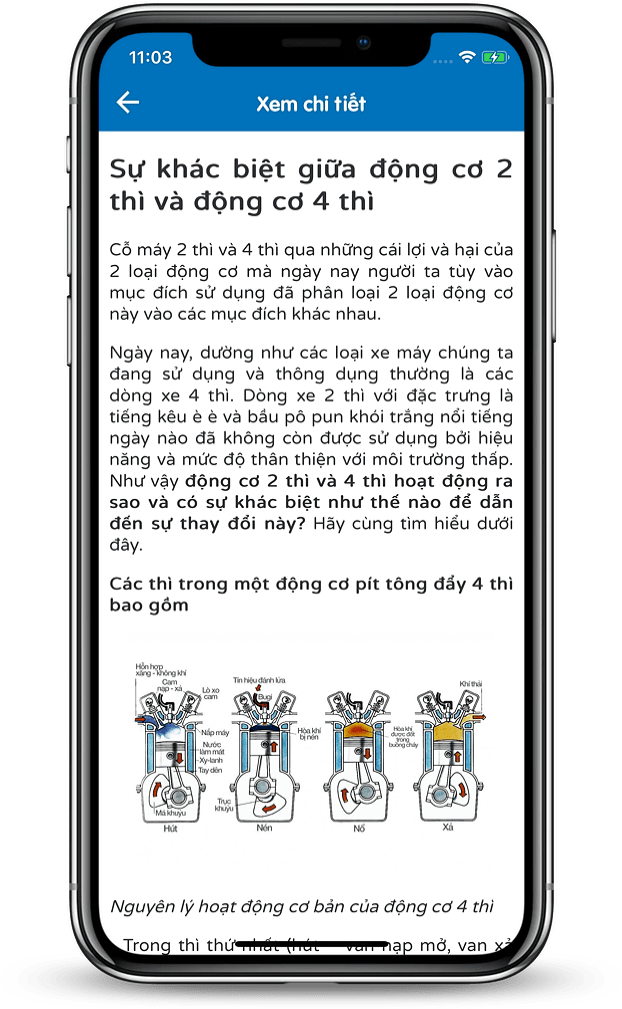 Chi tiết kiến thức